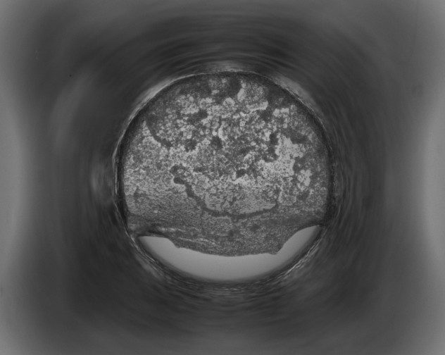 X0000083601031200703021907