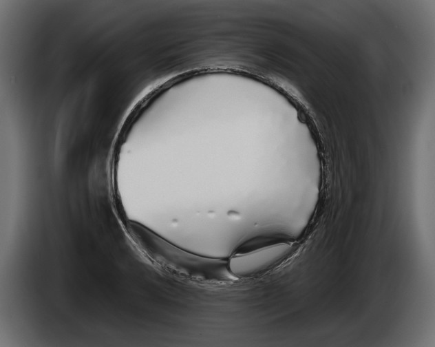 X0000083601032200703021907