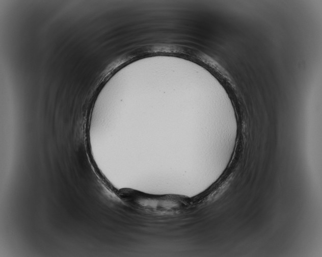 X0000083601033200703021907