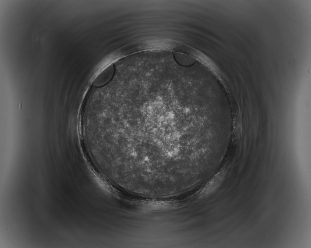 X0000083601034200703021907