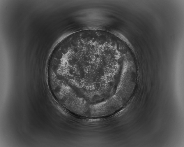 X0000083601035200703021907