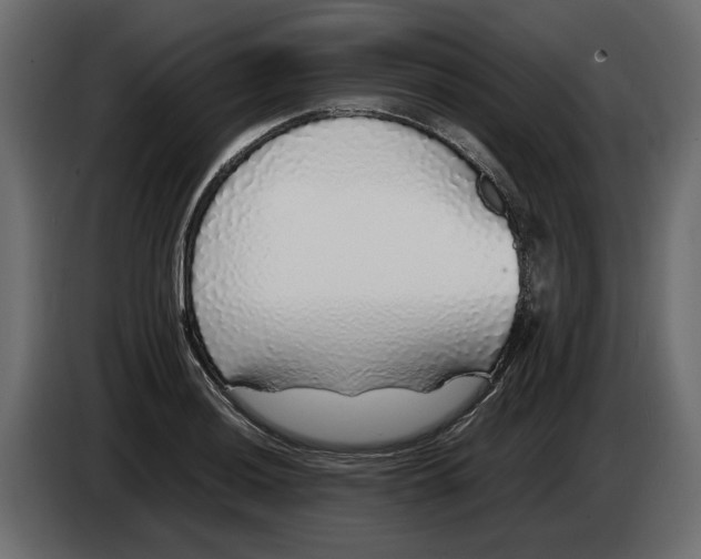 X0000083601036200703021907