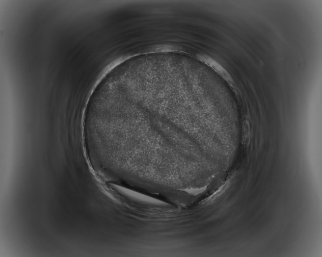 X0000083601039200703021907