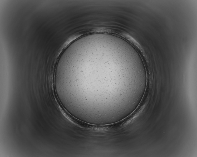 X0000083601041200703021907