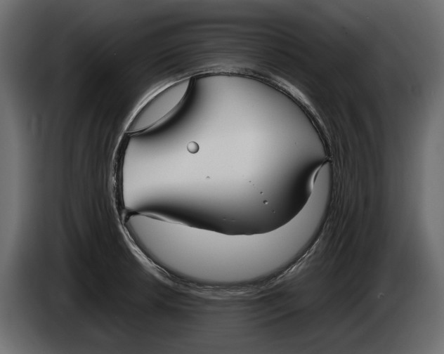 X0000083601042200703021907