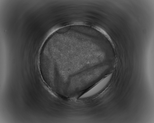 X0000083601043200703021907