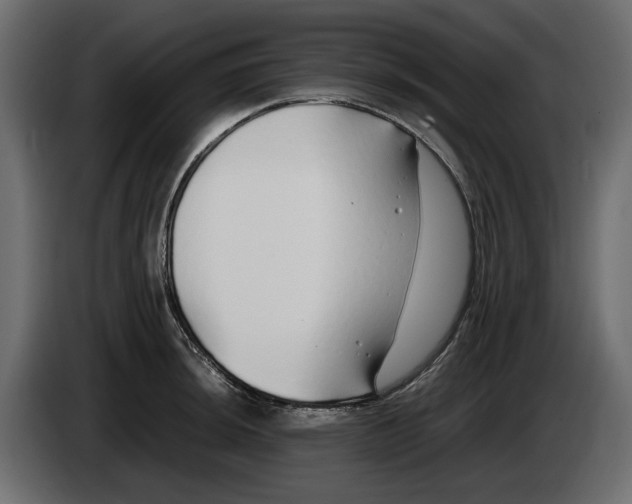 X0000083601044200703021907