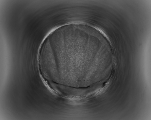 X0000083601046200703021907