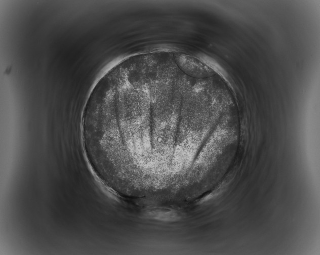 X0000083601047200703021907