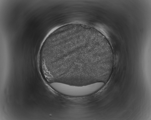 X0000083601048200703021907