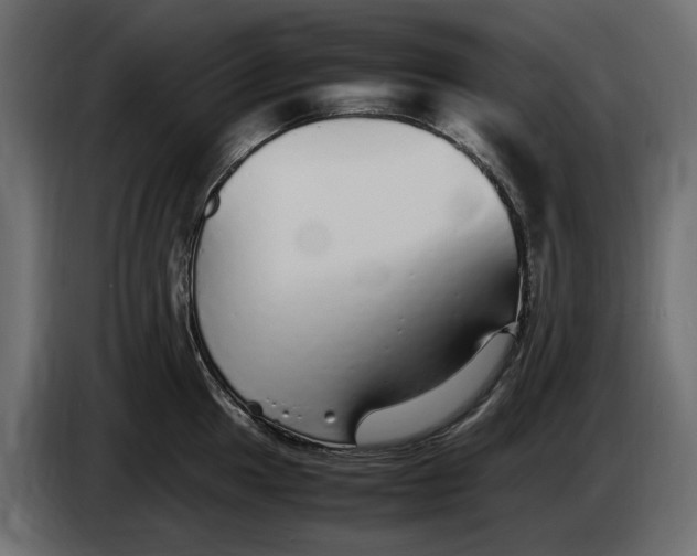 X0000083601049200703021907