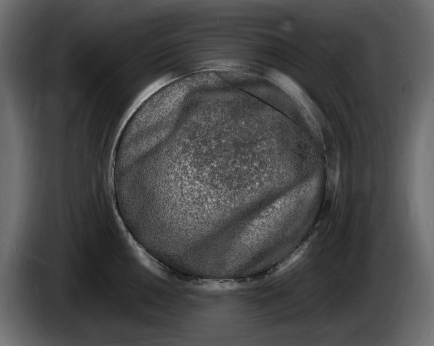 X0000083601050200703021907