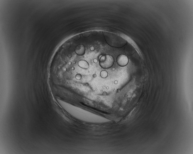 X0000083601051200703021907