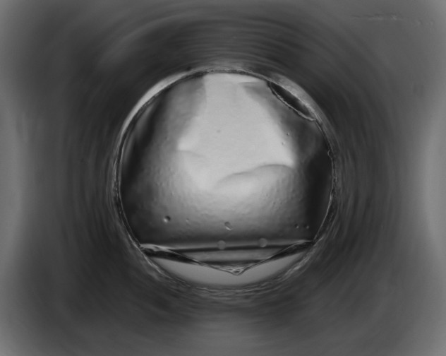 X0000083601052200703021907