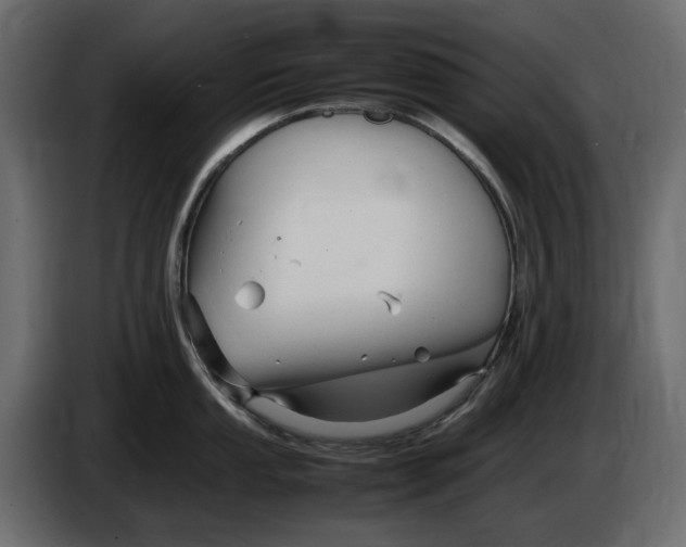 X0000083601053200703021907