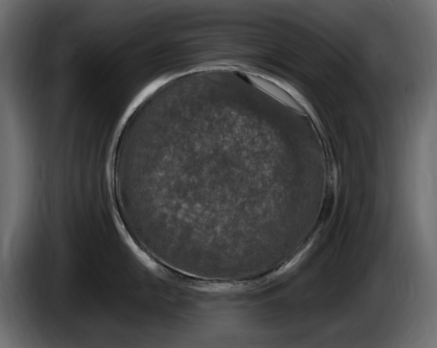 X0000083601054200703021908