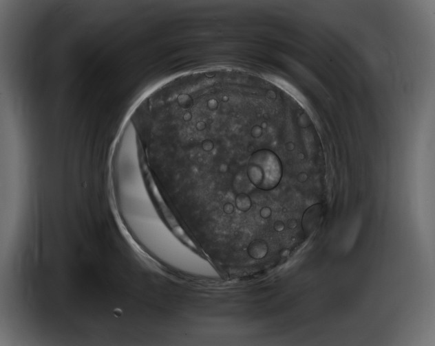 X0000083601055200703021908