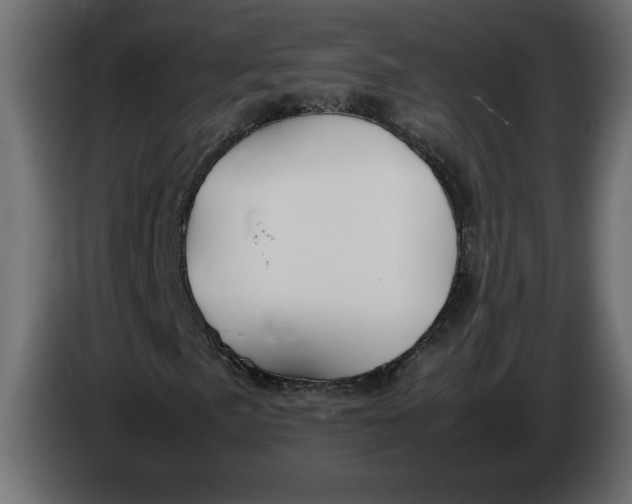 X0000083601057200703021907