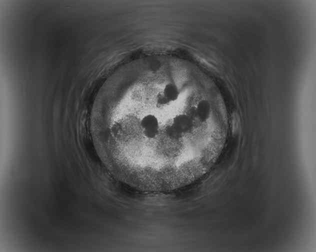 X0000083601059200703021907