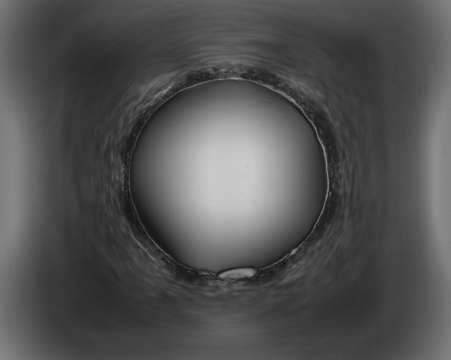 X0000083601061200703021907