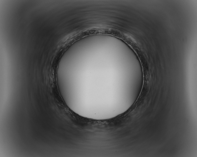 X0000083601062200703021907