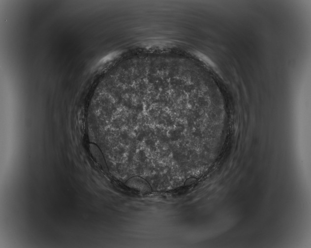 X0000083601063200703021907