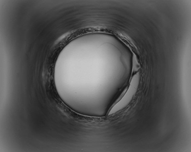 X0000083601064200703021907