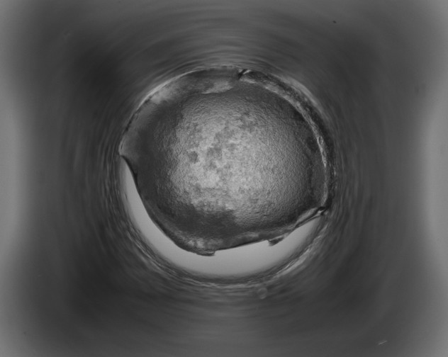 X0000083601065200703021907