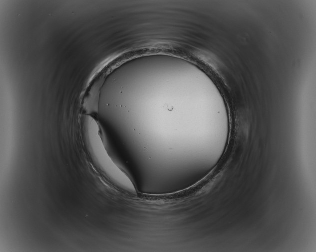 X0000083601066200703021907