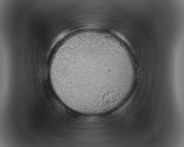 X0000083601067200703021907