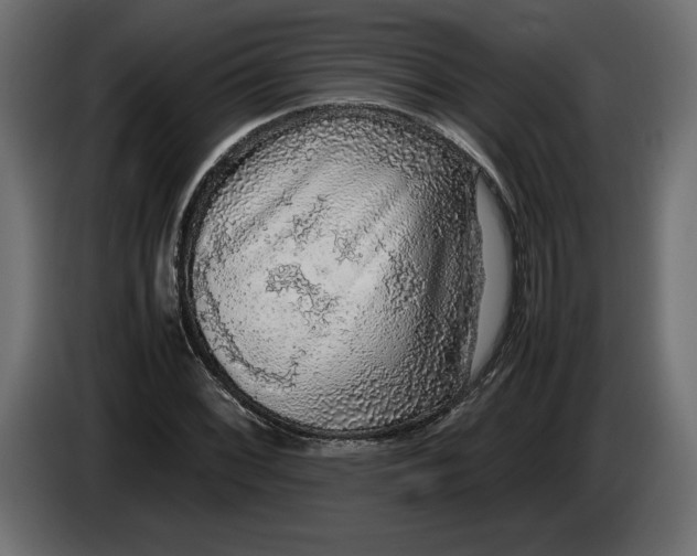 X0000083601068200703021906