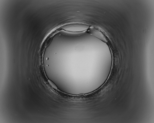 X0000083601069200703021906