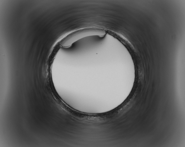 X0000083601070200703021906