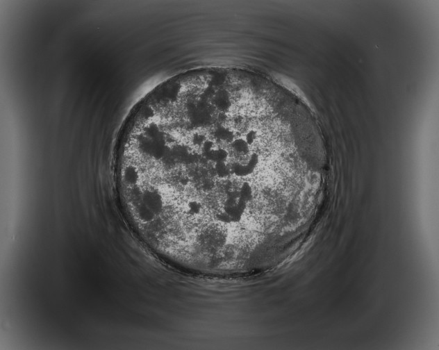 X0000083601071200703021906