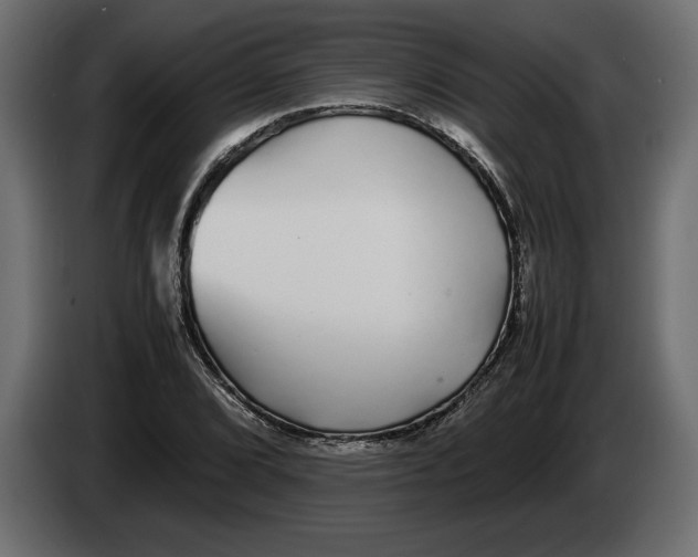 X0000083601072200703021906