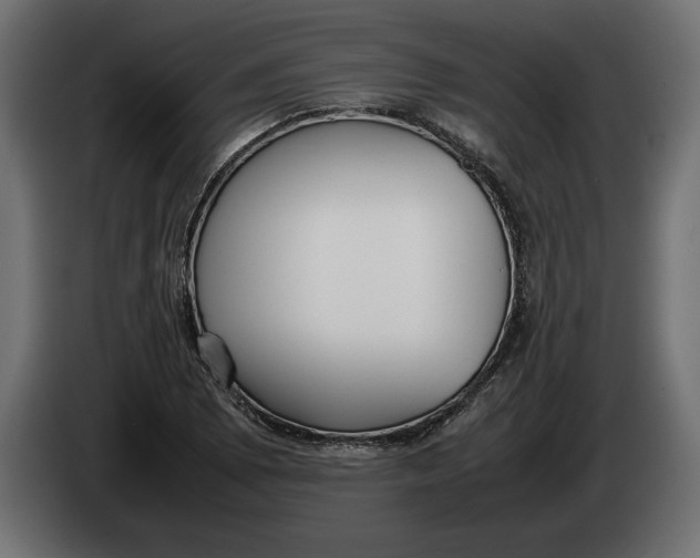 X0000083601073200703021906