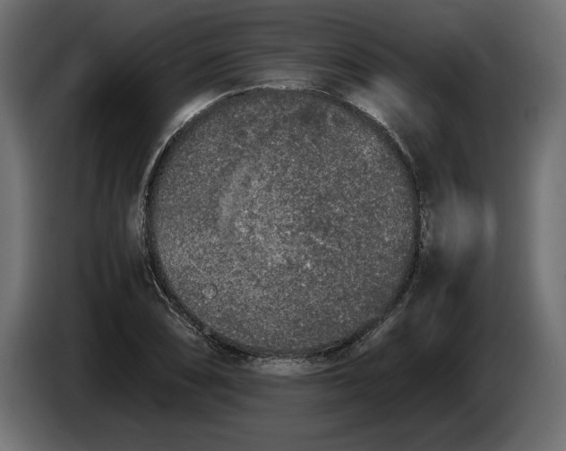 X0000083601074200703021906