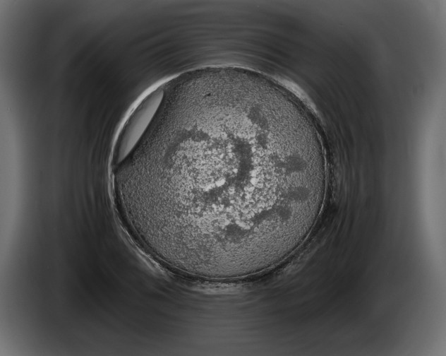 X0000083601076200703021906