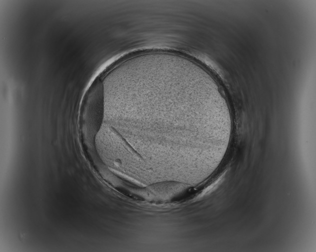 X0000083601077200703021906