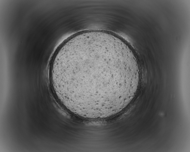 X0000083601078200703021906