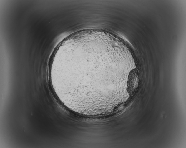 X0000083601079200703021906