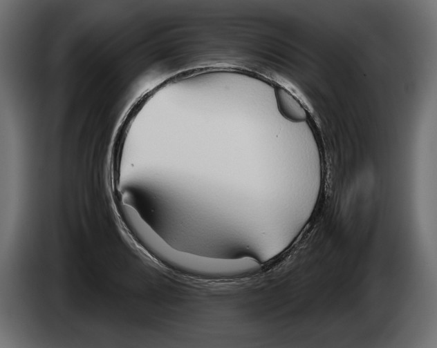 X0000083601080200703021906