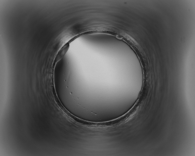 X0000083601081200703021906