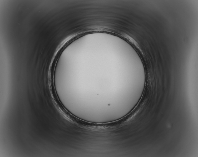 X0000083601082200703021906