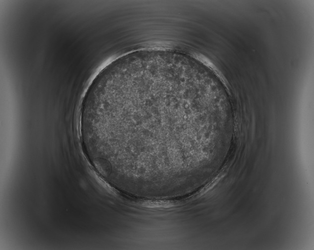 X0000083601083200703021906