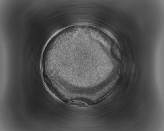 X0000083601084200703021906