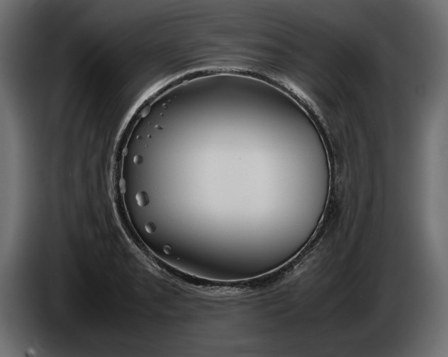 X0000083601085200703021906