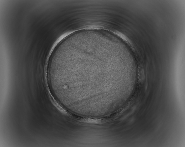 X0000083601086200703021906