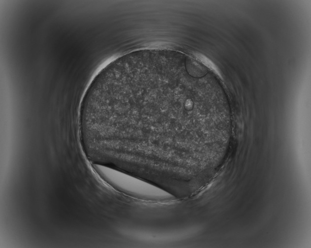 X0000083601087200703021906