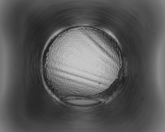 X0000083601088200703021906